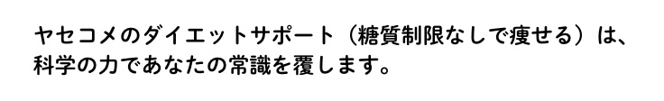 サービス概要